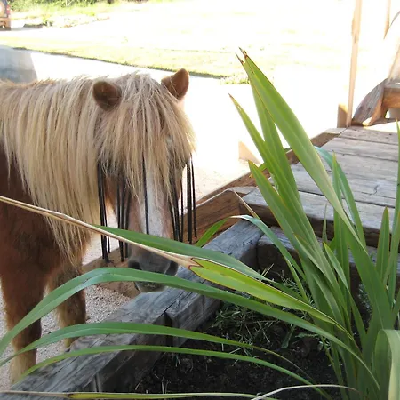 아파트 Quinta De Moledos