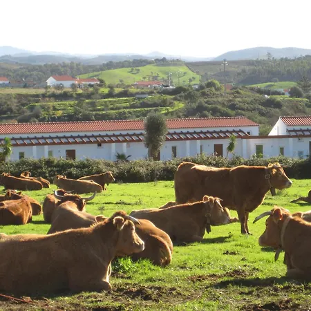 아파트 Quinta De Moledos