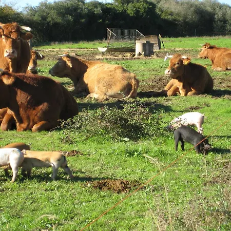 Quinta De Moledos Apartmán Aljezur