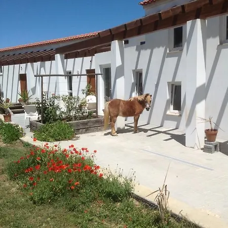 Apartmán Quinta De Moledos *