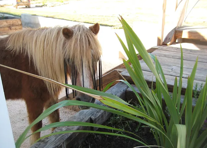 Apartman Quinta De Moledos